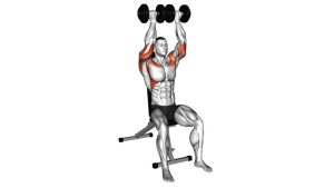 Read more about the article Dumbbell Seated Close-Grip Shoulder Press