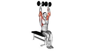 Read more about the article Dumbbell Seated Cuban Press