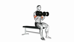 Read more about the article Dumbbell Seated Curl
