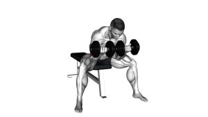 Read more about the article Dumbbell Seated Double Concentration Curl