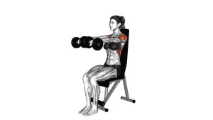Read more about the article Dumbbell Seated Front Raise