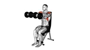 Read more about the article Dumbbell Seated Front Raise