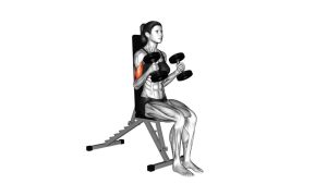 Read more about the article Dumbbell Seated Hammer Curl