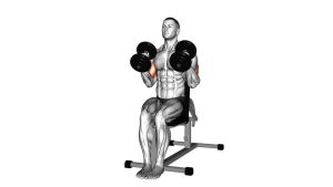 Read more about the article Dumbbell Seated Hammer Curl