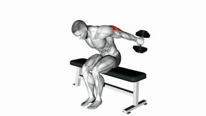 Read more about the article Dumbbell Seated Kickback