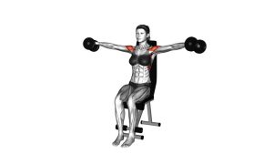 Read more about the article Dumbbell Seated Lateral Raise