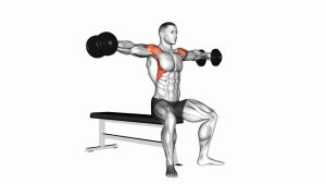 Read more about the article Dumbbell Seated Lateral Raise