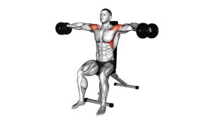 Read more about the article Dumbbell Seated Lateral Raise