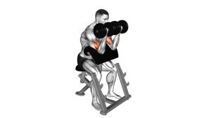 Read more about the article Dumbbell Seated Preacher Curl