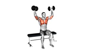 Read more about the article Dumbbell Seated Reverse Arnold Press