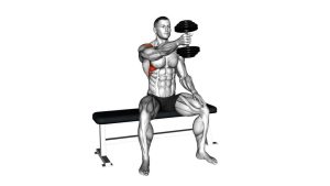 Read more about the article Dumbbell Seated Single-Arm Front Raise