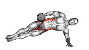 Read more about the article Dumbbell Side Bridge
