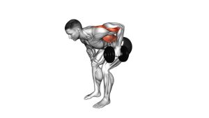 Read more about the article Dumbbell Single-Arm Bent-Over Row