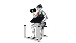 Read more about the article Dumbbell Single-Arm Preacher Curl