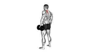 Read more about the article Dumbbell Single-Arm Shrug