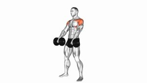Read more about the article Dumbbell Standing Alternate Raise