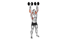 Read more about the article Dumbbell Standing Arnold Press