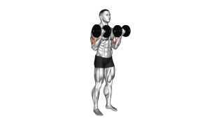 Read more about the article Dumbbell Standing Biceps Curl