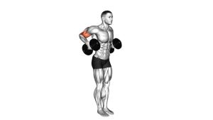 Read more about the article Dumbbell Standing Drag Curl