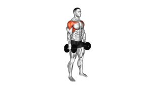 Read more about the article Dumbbell Standing Front-to-Lateral Raise