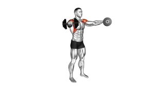 Read more about the article Dumbbell Standing Front-to-Lateral Raise