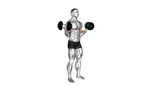 Read more about the article Dumbbell Standing Inner Biceps Curl