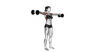 Read more about the article Dumbbell Standing Lateral Raise