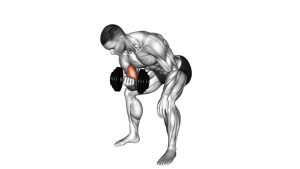 Read more about the article Dumbbell Standing One-Arm Concentration Curl
