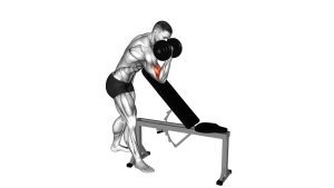 Read more about the article Dumbbell Standing One-Arm Curl Over Incline Bench