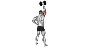 Read more about the article Dumbbell Standing One-Arm Overhead Triceps Extension