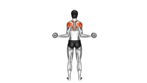 Read more about the article Dumbbell Standing Scapular External Rotation