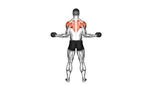 Read more about the article Dumbbell Standing Scapular External Rotation