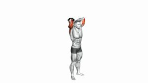 Read more about the article Dumbbell Standing Overhead Triceps Extension