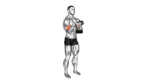 Read more about the article Dumbbell Waiter Biceps Curl