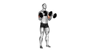 Read more about the article Dumbbell Zottman Curl