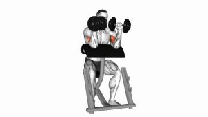Read more about the article Dumbbell Zottman Preacher Curl