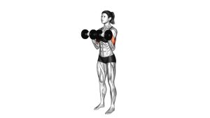 Read more about the article Dumbbell Reverse-Grip Biceps Curl