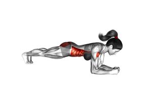 Read more about the article Elbow Push-Up