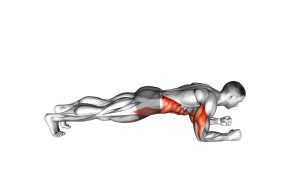 Read more about the article Elbow Up and Down Dynamic Plank