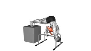 Read more about the article Elevated Pike Push-Up from Deficit with Parallettes