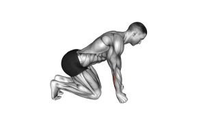 Read more about the article Kneeling Fist Roll