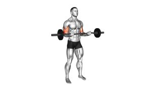 Read more about the article EZ-Bar 21s