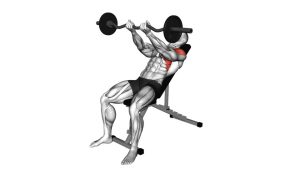 Read more about the article EZ-Bar Incline Front Raise