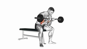 Read more about the article EZ-Bar Seated Close-Grip Concentration Curl