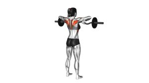 Read more about the article EZ-Bar Standing Upright Row