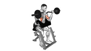 Read more about the article EZ-Barbell Preacher Curl