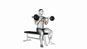 Read more about the article EZ-Barbell Seated Curl