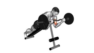 Read more about the article EZ-Barbell Spider Curl