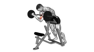 Read more about the article EZ-Barbell Standing Preacher Curl
