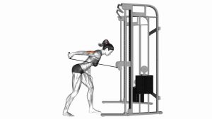 Read more about the article Cable Triceps Kickback